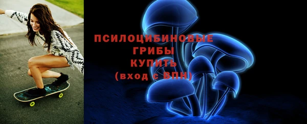 шишки Верхнеуральск