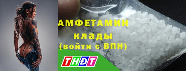 apvp Болотное
