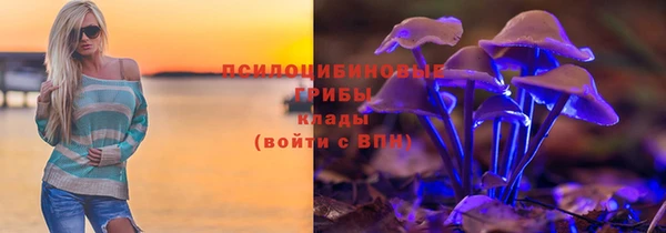 крисы Верхний Тагил