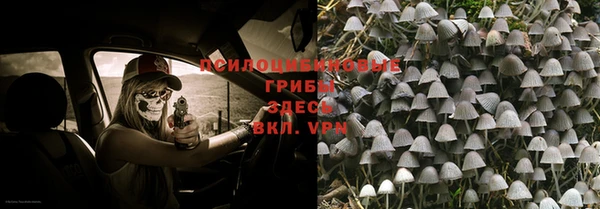 а пвп мука Бугульма