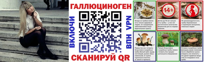 где найти   Старица  Псилоцибиновые грибы GOLDEN TEACHER 